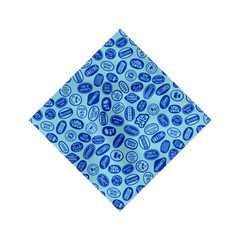 Vita Coco Bandana